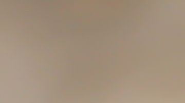 shutterstock_764193367