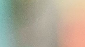 Las labores de estética de los perros en estos días son muy complicados.