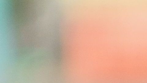 Las labores de estética de los perros en estos días son muy complicados.