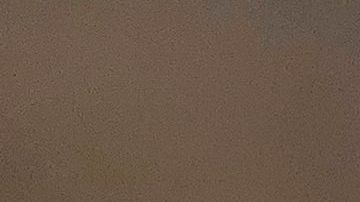 Un usuario experimentó abrir una lata con fecha de vencimiento en 1995 y el resultado fue desagradablemente viral.