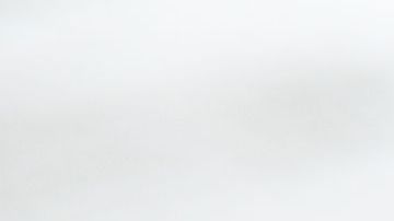 shutterstock_92825878