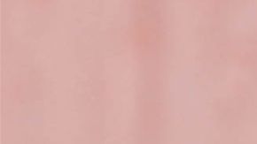 Reparten "chapodespensas" en medio de la crisis del coronavirus.