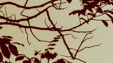 La meditación es una técnica que fortalece tu alma.