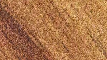 Los amigos más tóxicos del zodiaco.