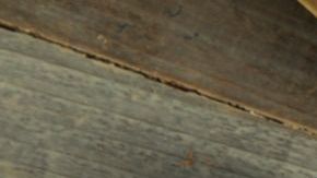 Sopa Frijol-bhofack2-Canva