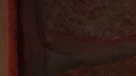 El bar seguía operando con fiestas ilegales.