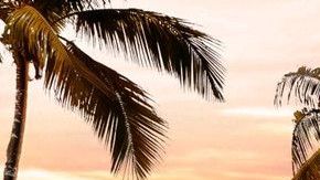 Fiat Strada 2021.
Crédito: Cortesía Fiat.