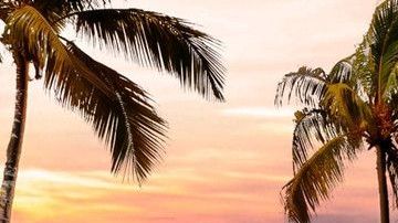 Fiat Strada 2021.
Crédito: Cortesía Fiat.