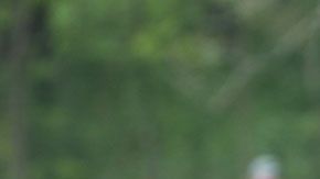 El caddie es quien carga los palos de los golfistas.