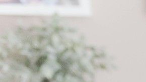 Mantén cierta rutina matutina antes de trabajar para ayudar a tu productividad.