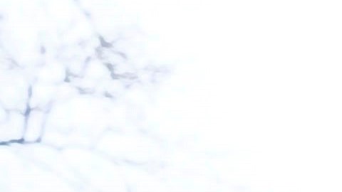 Una católica conmemora el Viernes Santo cargando una cruz por las calles de Brooklyn.