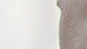 La impuntualidad caracteriza a estos signos.