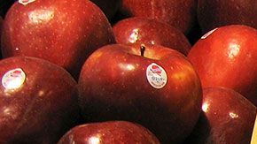 Foto: Andrew Wong/Getty Images