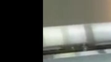 Toni Costa junto su hija Alaïa y Adamari López.