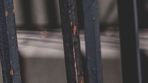 Desde que comenzó la cuarentena, "Pop" se pasa la tarde mirando el patio donde antes podía salir a jugar con los vecinos.