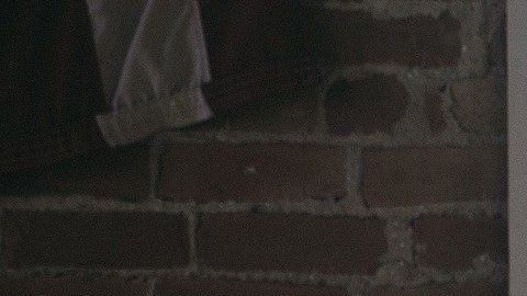 Así es como reacciona tu signo al distanciamiento social.