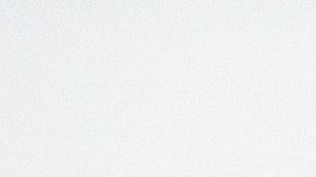 La mascota ideal para tu signo del zodiaco.