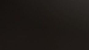 Un Xoloitzcuintle generó una gran confusión.