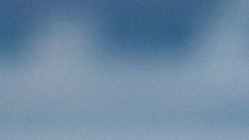 El presidente minimizó al principio la crisis que se aproximaba.