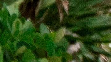 La gente visita el South Pointe Park después de la reapertura de los parques en Miami Beach, Florida.