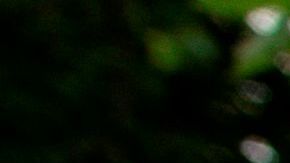 La tasa de desempleo de los latinos se ha más que triplicado, según UnidosUS.