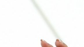 María Antonieta de las Nieves.