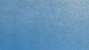 El ataque fue contra tiburones enormes.