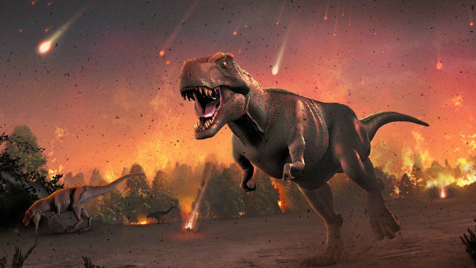 Los dinosaurios estuvieron entre los que se extinguieron hace 66 millones de años.
