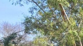 ¿Cómo construimos un mundo mejor?