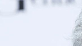 112010680_gettyimages-1155735771