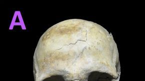 112200947_esqueletos_esclavos_mexico_976x549