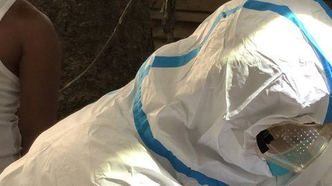 Los "cazadores de virus" creen que los murciélagos son uno de los principales reservorios de patógenos que pueden afectar a los humanos.