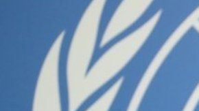 112263569_mediaitem112263568