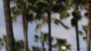 Esta semana, el equipo de respuesta covid-19 de la Unión Europea sugirió que Europa debería prepararse para una segunda ola.