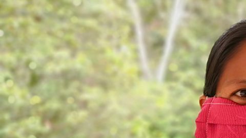 Los contagios de coronavirus en Ecuador.