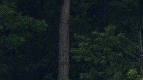 112519268_mediaitem112519267-1