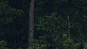 112519268_mediaitem112519267-1