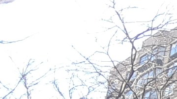 Los desalojos están prohibidos