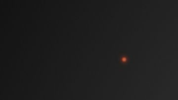 Morfología del coronavirus