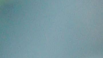 El artillero argentino es uno de los jugadores de “La Vecchia Signora” que dio positivo en el test del coronavirus.