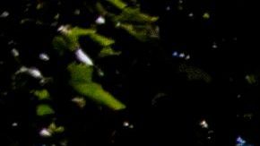 Estudios apuntan a que el uso de mascarilla puede evitar una mayor propagación del virus.