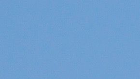 La doctora Érica Barrios da su testimonio. /Victor Cuevas/SEIU 721.