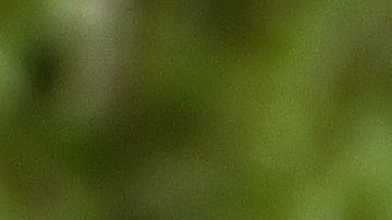 El gobernador Andrew Cuomo anunció nuevas directrices sobre el coronavirus