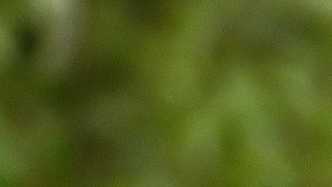 El gobernador Andrew Cuomo anunció nuevas directrices sobre el coronavirus