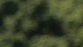 A pesar los más de 60,000 casos de COVID-19 en California, hay quienes piden reapertura total.