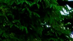Queens (United States), 23/05/2020.- Tombstones for United States veterans and an American flag are seen at the Cypress Hills National Cemetery in Queens, New York, USA, 23 May 2020. The United States will observe Memorial Day on Monday to honor military personnel who died while serving in the US Armed Forces. (Estados Unidos, Nueva York) EFE/EPA/JUSTIN LANE