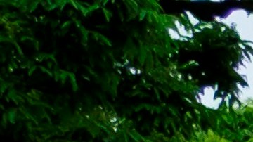 Queens (United States), 23/05/2020.- Tombstones for United States veterans and an American flag are seen at the Cypress Hills National Cemetery in Queens, New York, USA, 23 May 2020. The United States will observe Memorial Day on Monday to honor military personnel who died while serving in the US Armed Forces. (Estados Unidos, Nueva York) EFE/EPA/JUSTIN LANE