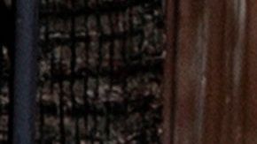 Protestas por confinamiento