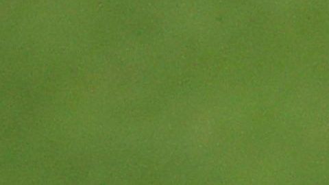 Neymar podría sumar sus primeros minutos de la campaña este sábado.