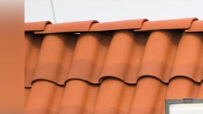 Tienes que ser parte de su programa de recompensas para aprovechar la promoción.